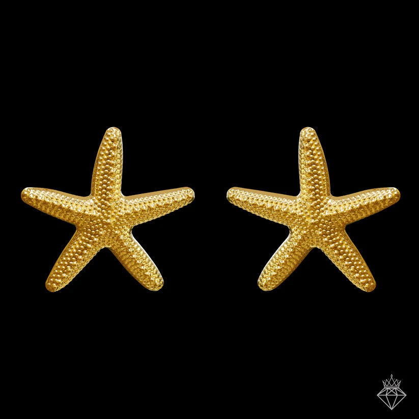 Gold Plated, Anti-Tarnish Star Statement Earrings✨